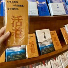 沈盪飯店張用戶圖片