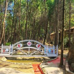 XIANG BA LI NONG GU LE User Photo