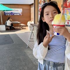 Kaisen sushi Toretore icihba User Photo