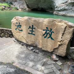 花开麦饼屋 ảnh của người dùng