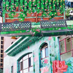 山茶花农家院 User Photo