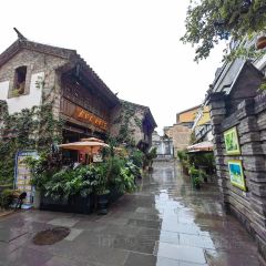 菌齐彩菇 User Photo