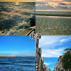 XINGHAIYUGANG User Photo