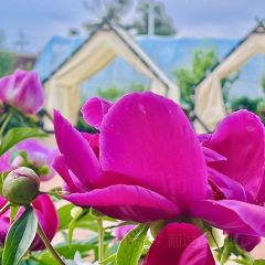 二十二度客栈深夜食堂 User Photo