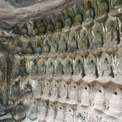 中国柠檬小镇 User Photo