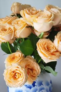 Shanjie 京都威斯汀飯店優惠