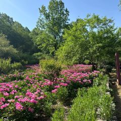 LOBSTER MONSTRE 여행 사진