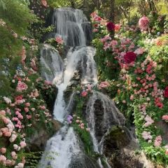 华林水席村(九都东路店) User Photo