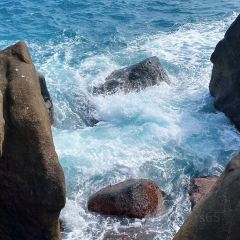 小海豚海鲜广场(清水湾店) User Photo