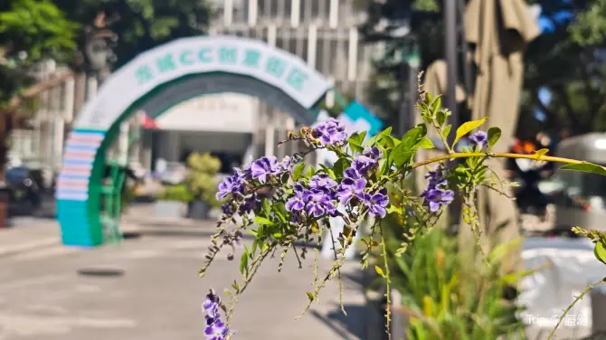 龙城CC创意街区