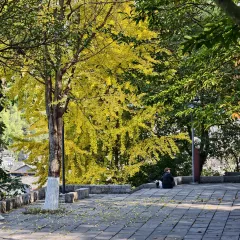 NABIAN NACHENG User Photo