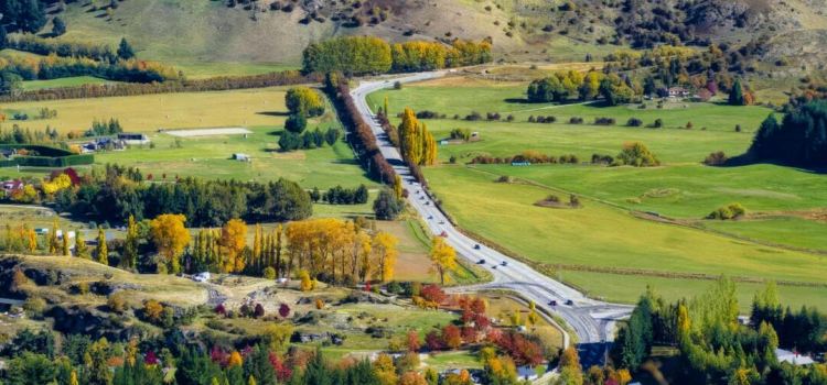 Arrowtown Bakery & Cafe