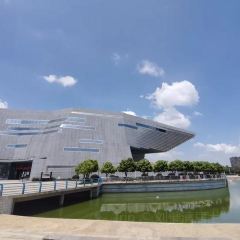 Zhan yi gong shi la zi Chicken (zhan yi) User Photo