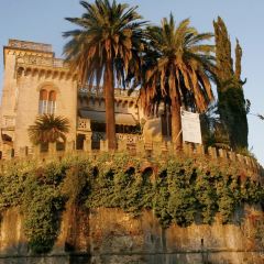 Officine del Cibo User Photo