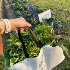 良壤有机庄园 User Photo