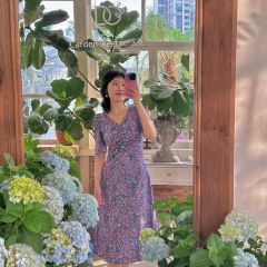 I DO玻璃屋 User Photo