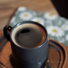 后院 여행 사진