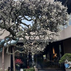 松庐和牛海鲜火锅 User Photo