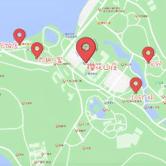 無邪張用戶圖片