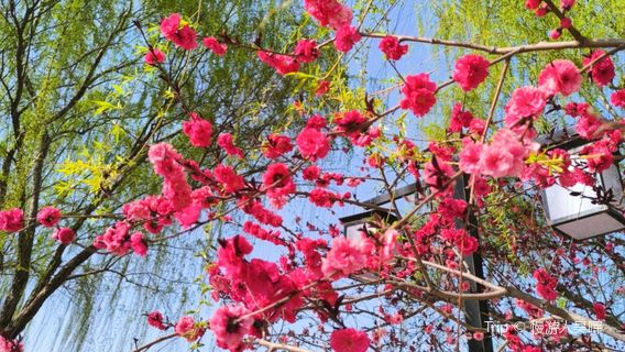 Fuping Amusement Park