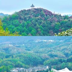 尝回头羊肉粉(体育馆店) User Photo