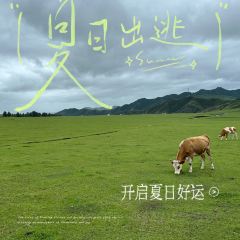 蒙古艾利奶茶馆 User Photo