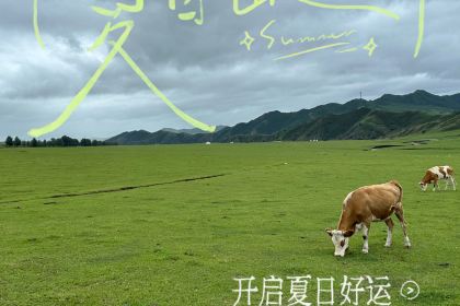 蒙古艾利奶茶馆