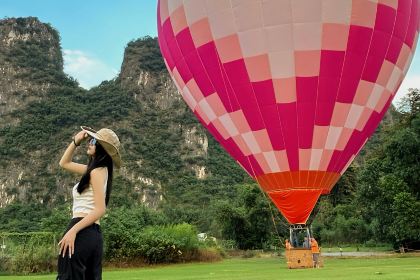 银峰农庄·特色烧鸡·鲜无花果浸鸡