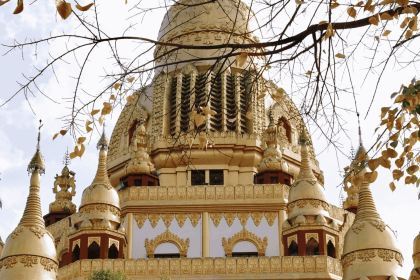 张变果饮(北站店)