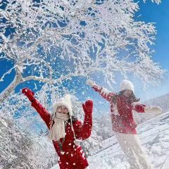 红灶台铁锅炖(雪谷景区店) User Photo