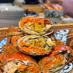 THE CANDOUR User Photo