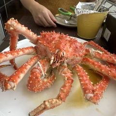Octopus 여행 사진