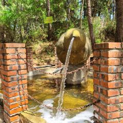 XIANG BA LI NONG GU LE User Photo