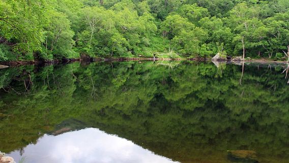 lin cheng xiao tian chi