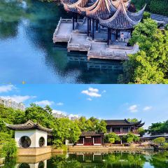 西部牛扒城張用戶圖片