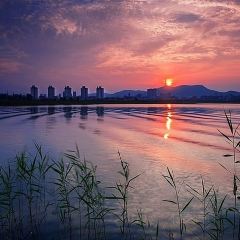 柴火人家(桐庐总店) User Photo