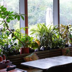 BIANCHI(Pudong Kerry) 여행 사진