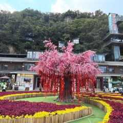 老君山枕云悬崖观景民宿·老君山顶2217云顶餐厅 User Photo