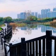 艾佳私房菜 User Photo