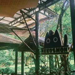Nekoemon Cafe User Photo