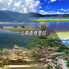 敦煌特色胡羊燜餅張用戶圖片