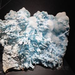 安吉自然博物院自然体验餐厅 User Photo