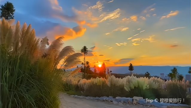 Lakeside Ecological Wetland Park