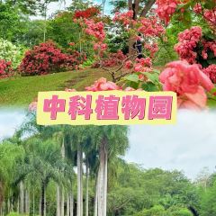 傣族人家(世纪路店) User Photo