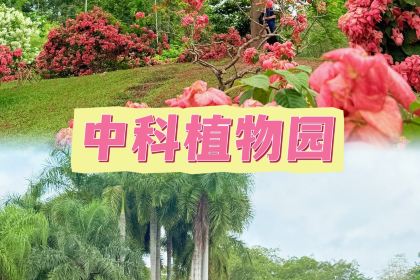 傣族人家(世纪路店)