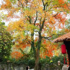 LOBSTER MONSTRE 여행 사진