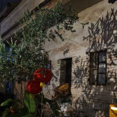 Jinbang Old Street Shop (Jinbang Store) 여행 사진