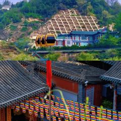 老牟家牦牛酸奶 User Photo