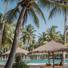 瑞丰椰子鸡 User Photo