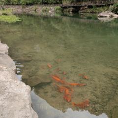 舌间·灵运仙洞餐厅 User Photo